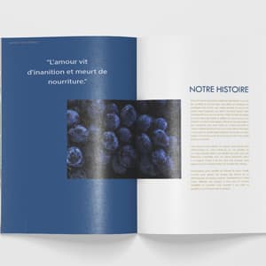 2 Catalogues finitions premium - 40 pages